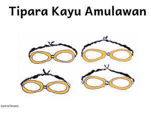 Tipara Kayu Amulawan Title